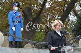 Darija Kisic Tepavcevic