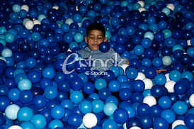 ljuba stankovic, pinkova zvezdica