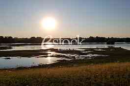 Tamis poplave
