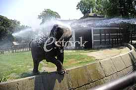 Belgrade zoo on summer day