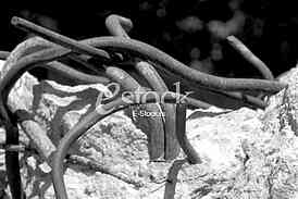 Black and white armature