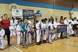 Karate Nippon top ten
