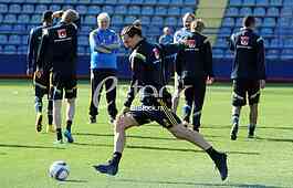 Training of Sweden national football