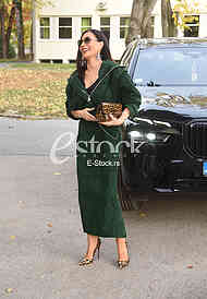 Svetlana Ceca Raznatovic