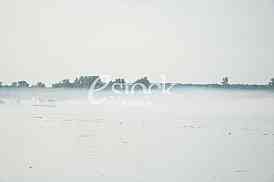 Zaprasivanje komaraca