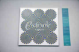 Museum of illusions







