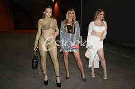 Dijana Durlevic, Maja Kovacevic, Kristina Reisinger