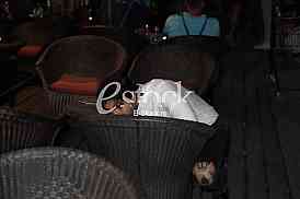 Zarko Madzic odrzao je promocija pesme 