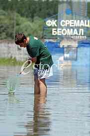 Flood
