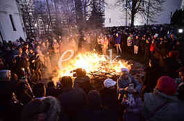Badnjak