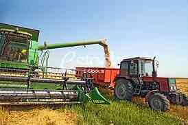 Agriculture