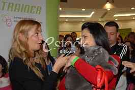 Cat show