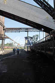 Kolubara