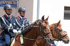 Mounted police patrol