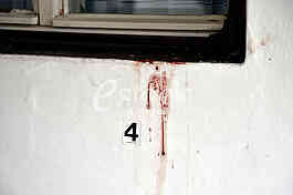 A citizen of Bosnia and Herzegovina, Marko Radovic, was killed in Sevina street in Zemun.