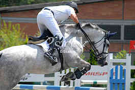 Equestrian Sport