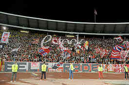 Zvezda Arsenal