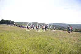 Protest Fruska Gora
