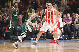 CRVENA ZVEZDA vs PANATHINAIKOS ATHENS