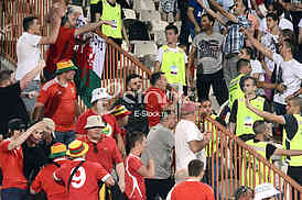  Serbia-Wales, football match.
