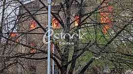 Pozar Stari mlin Obrenovac