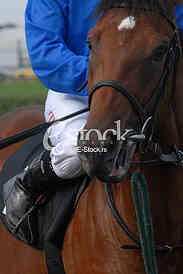 Ljubicevo Equestrian Games
