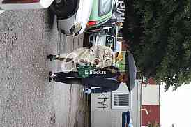 Dragica Radosavljevic Cakana i Nebojsa Negic