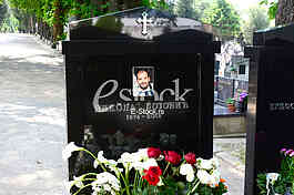 Novo groblje cemetery, grave of Nikola Bojovic