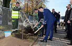 planting trees, military barracks 