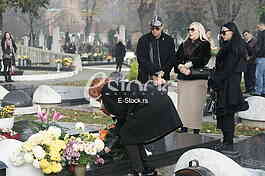 Gordana Goca Saulic