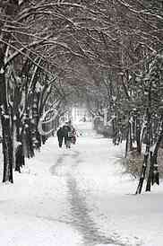 People in winter time