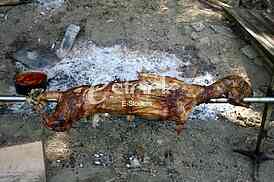 Barbecue in the forest.shashlik at nature.Process of cooking meat on barbecue, closeup.Barbecue with meat in metal grate, closed-up in forest, turning the grill