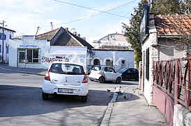 Dalibor Despotovic
