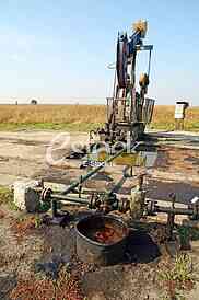 Oil