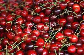 fresh cherries natural cherry to background on the street market