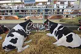 Agricultural machinery at fair