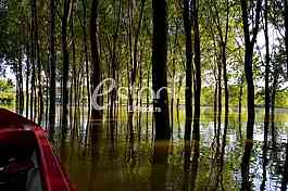 Tamis poplave