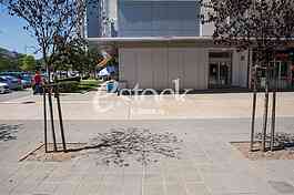 Murder place of Aleksandar Stamenkovic