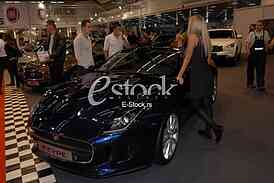 The Car Show
