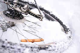 winter
