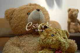 Exhibition teddy bears toys
