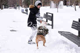 winter