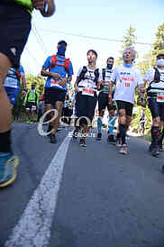 Fruskogorski maraton