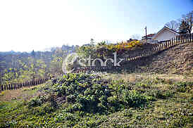 Birth house of field mashal Stepa Stepanovic