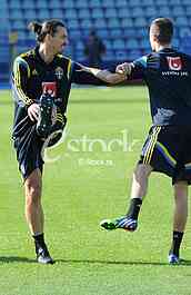 Training of Sweden national football