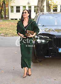 Svetlana Ceca Raznatovic