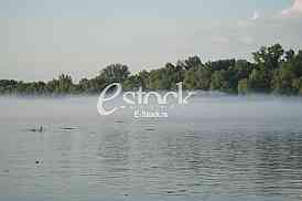 Zaprasivanje komaraca