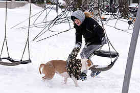 winter