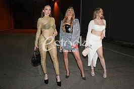 Dijana Durlevic, Maja Kovacevic, Kristina Reisinger