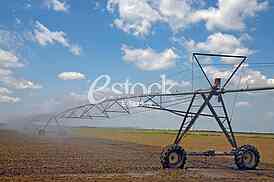 Agriculture